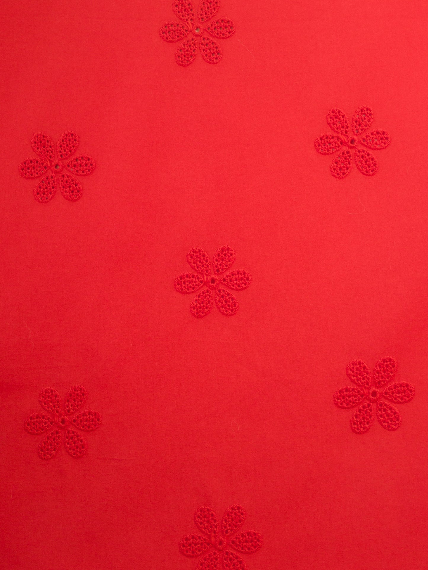Daisy Eyelet - Poppy