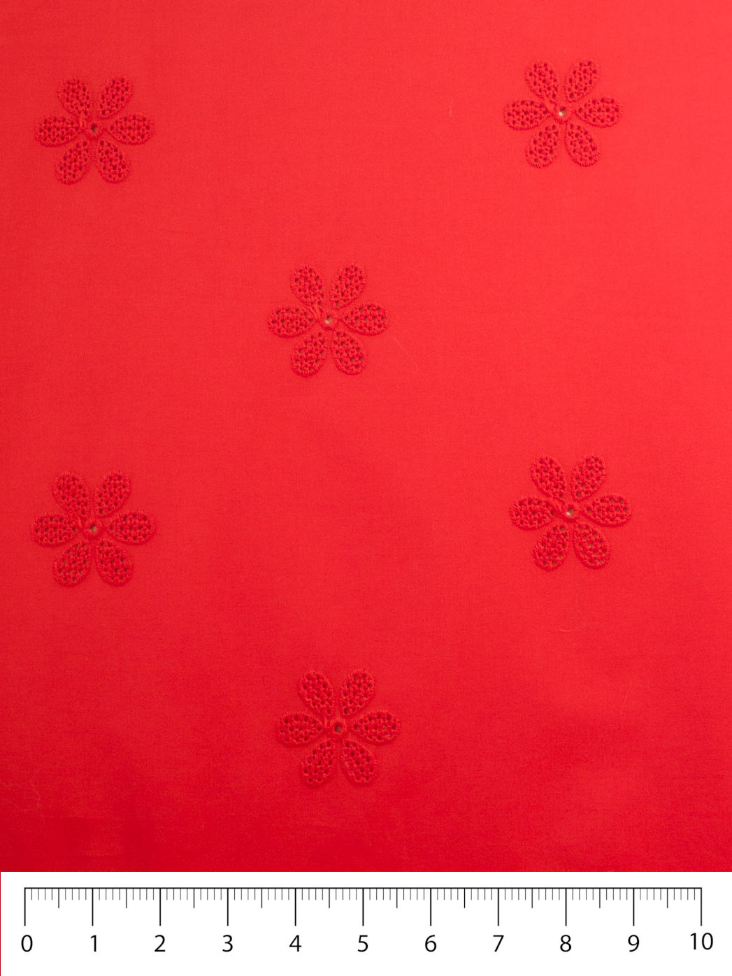 Daisy Eyelet - Poppy