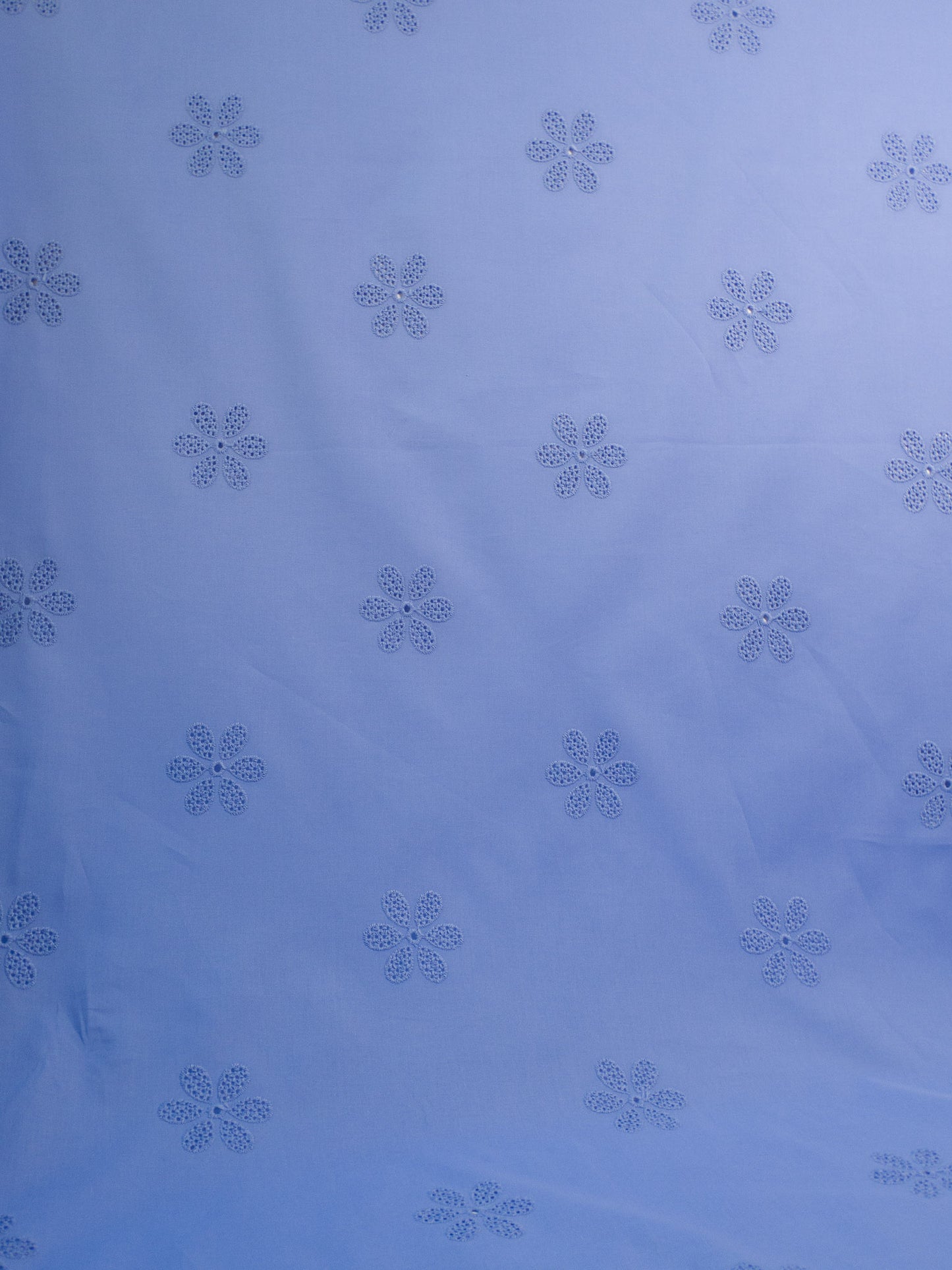 Daisy Eyelet - Periwinkle