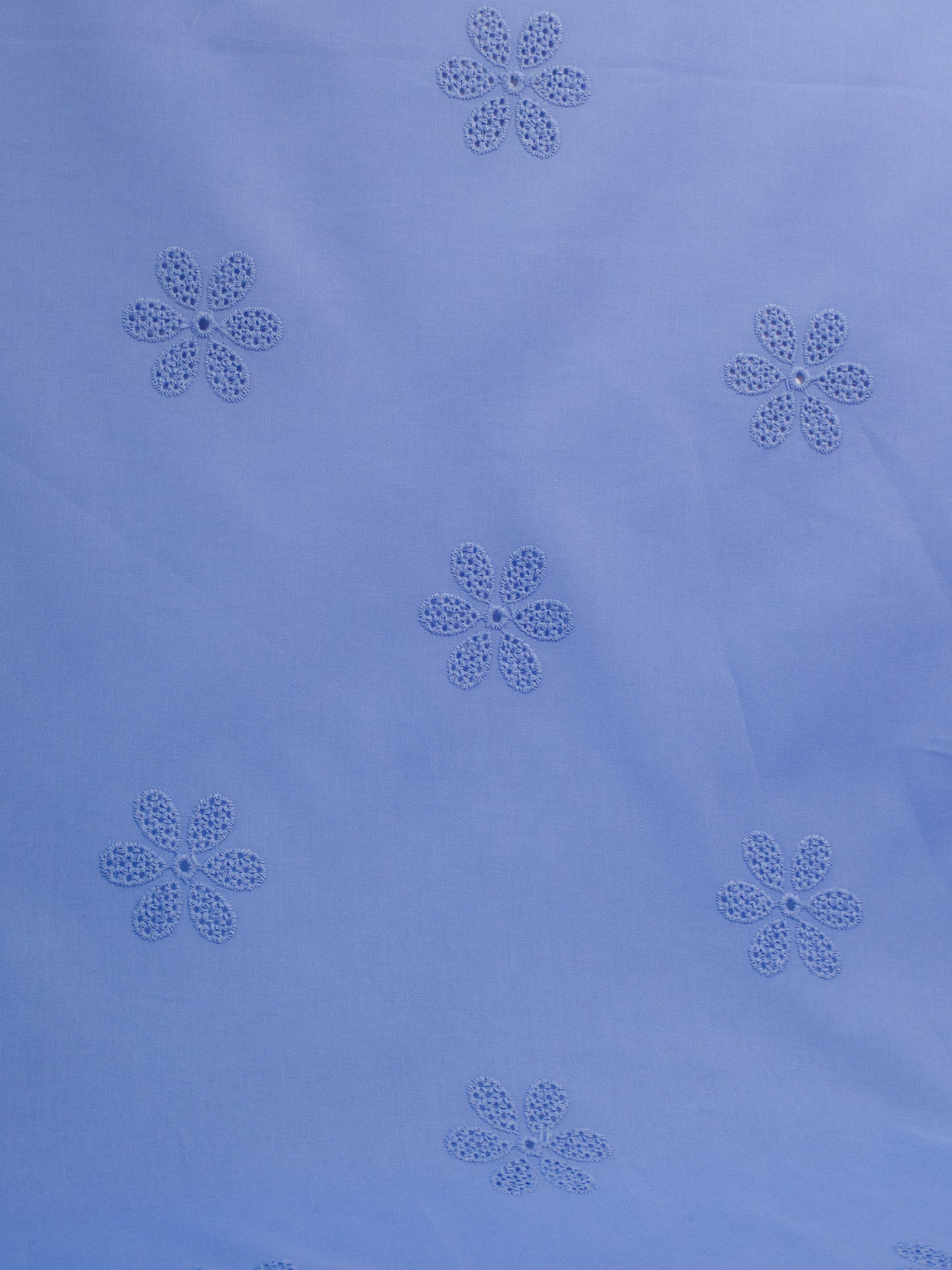 Daisy Eyelet - Periwinkle