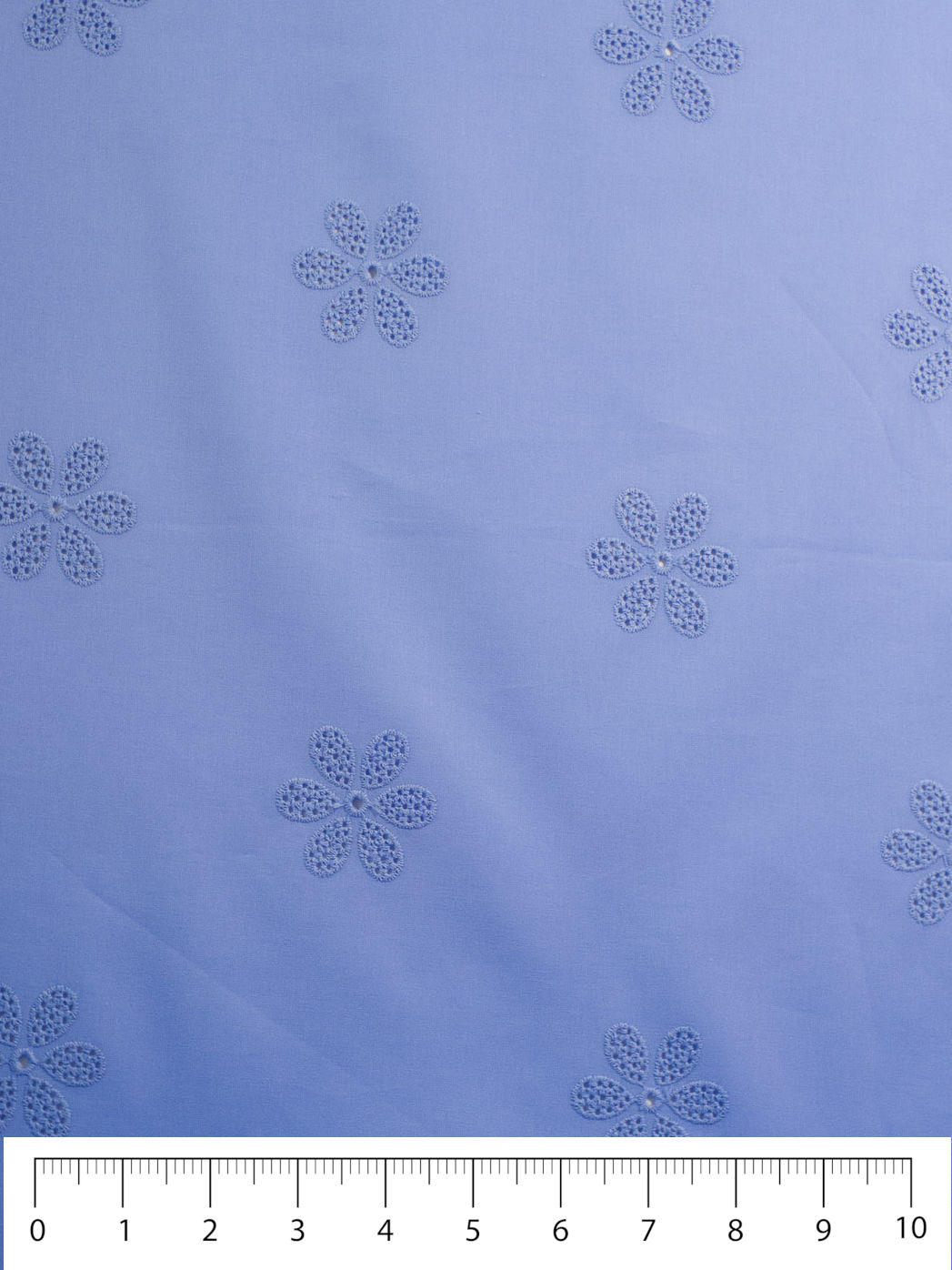 Daisy Eyelet - Periwinkle