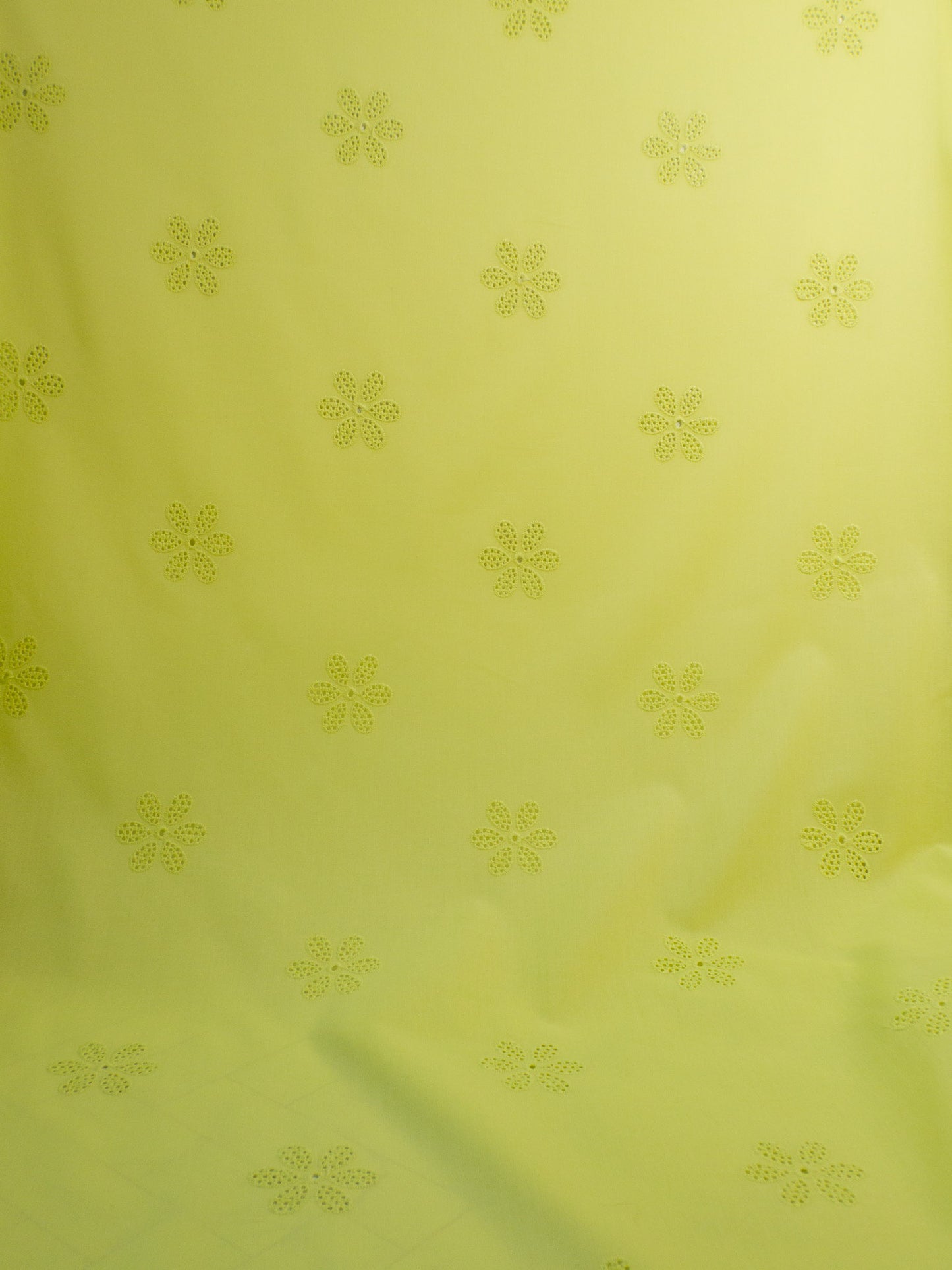 Daisy Eyelet - Yellow