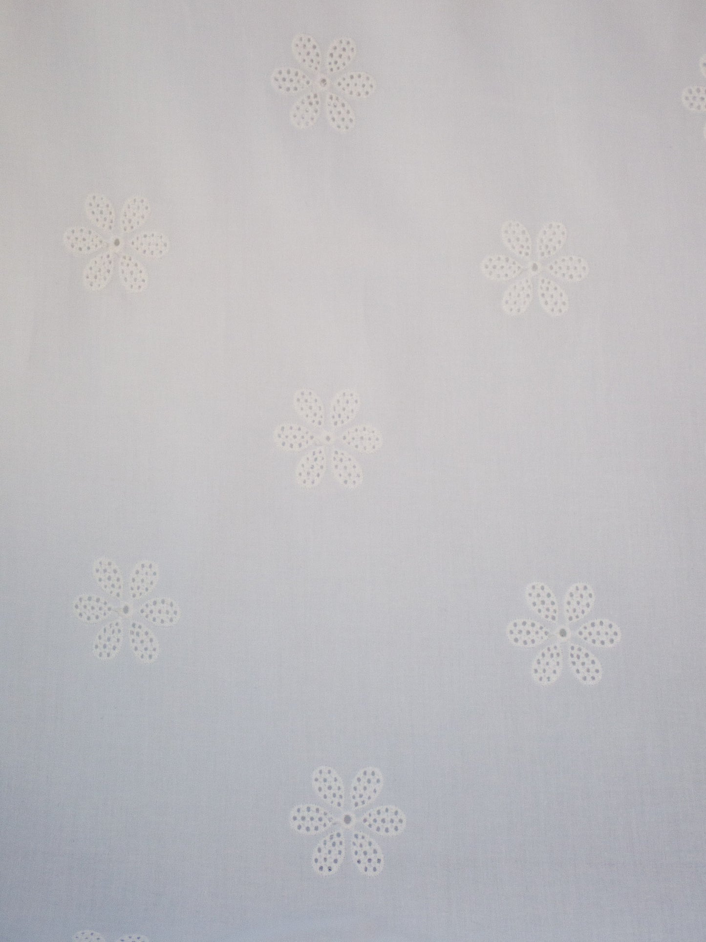 Daisy Eyelet - White