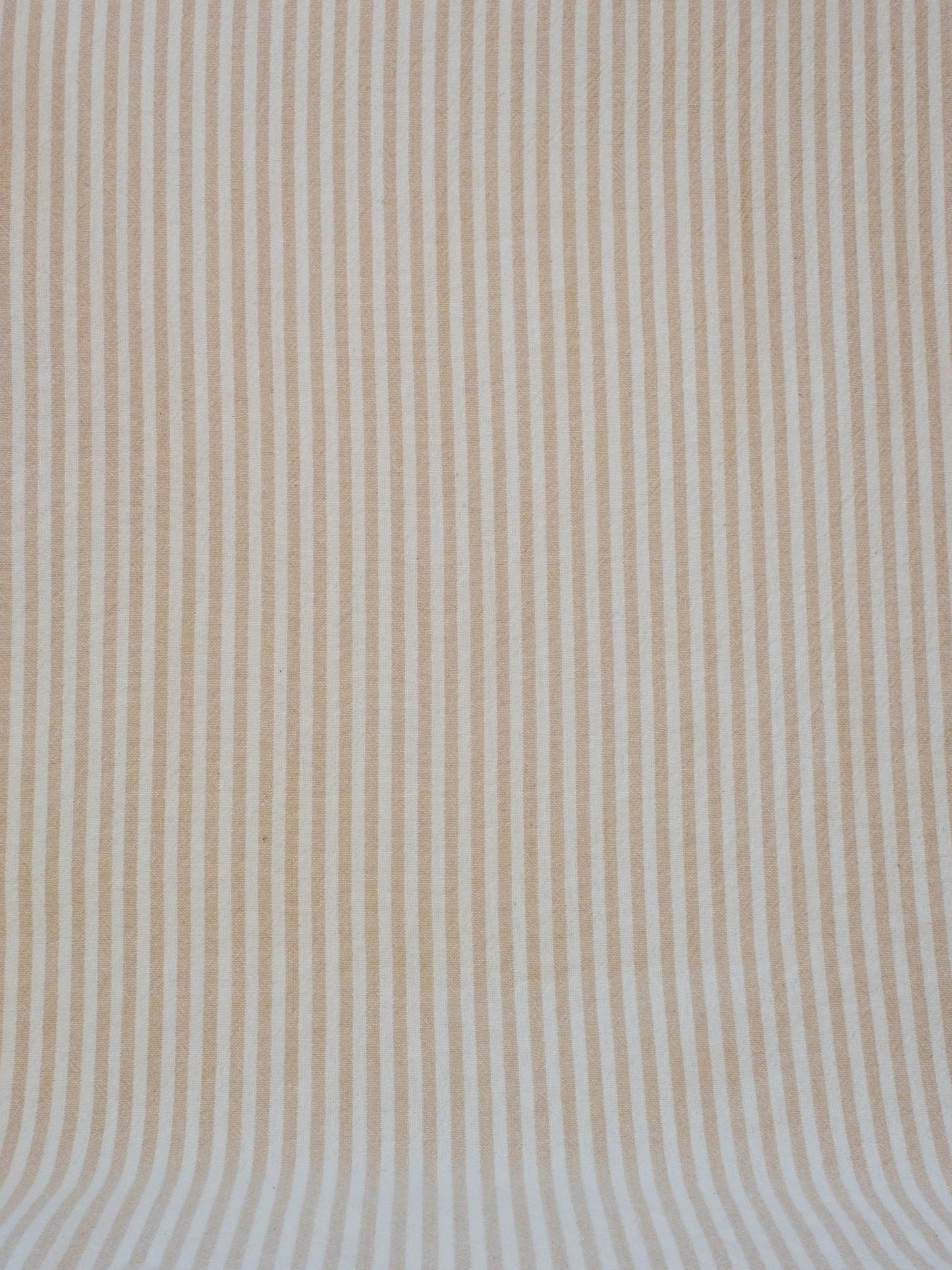 Farmhouse Stripe - Cream