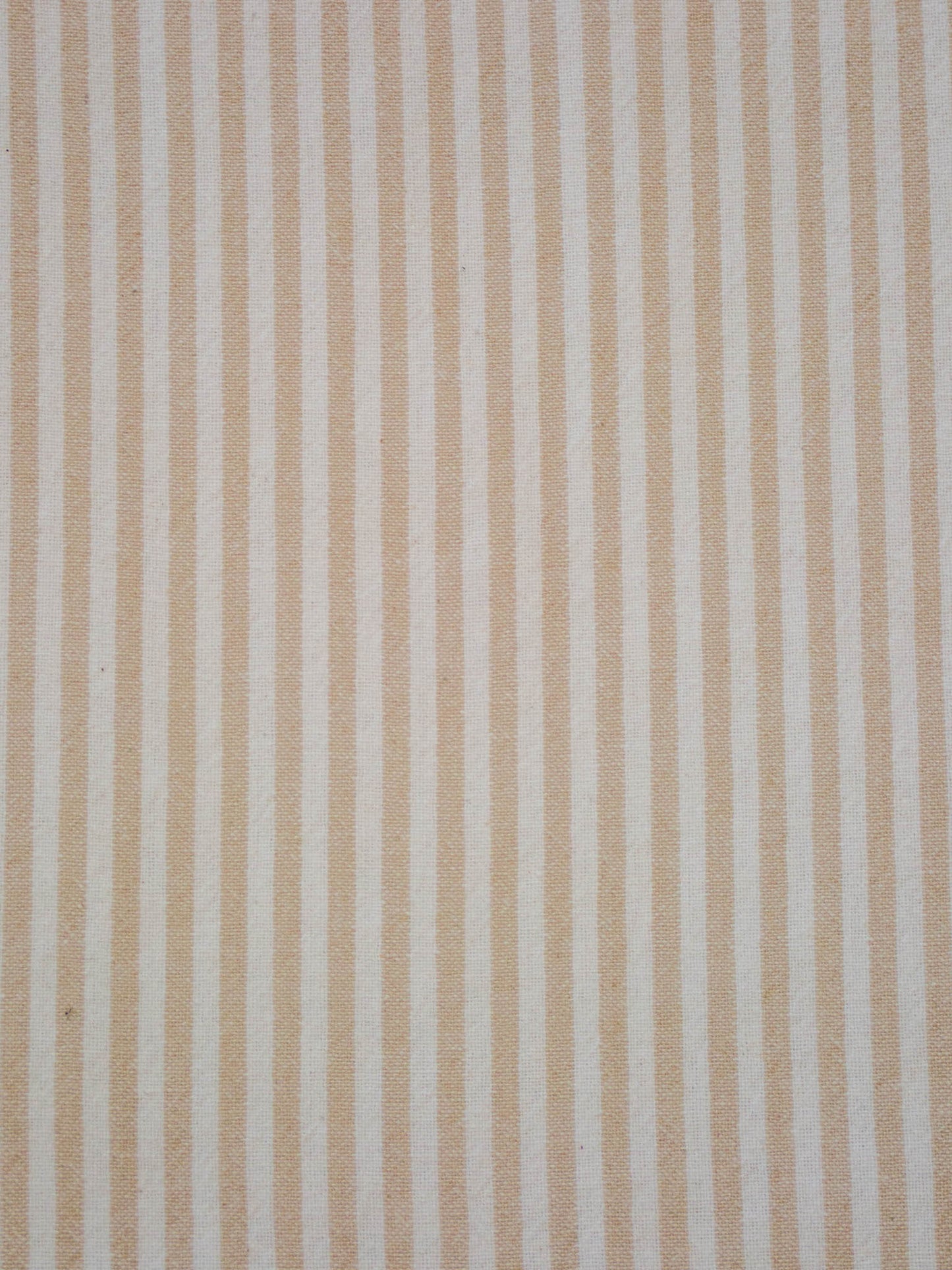 Farmhouse Stripe - Cream