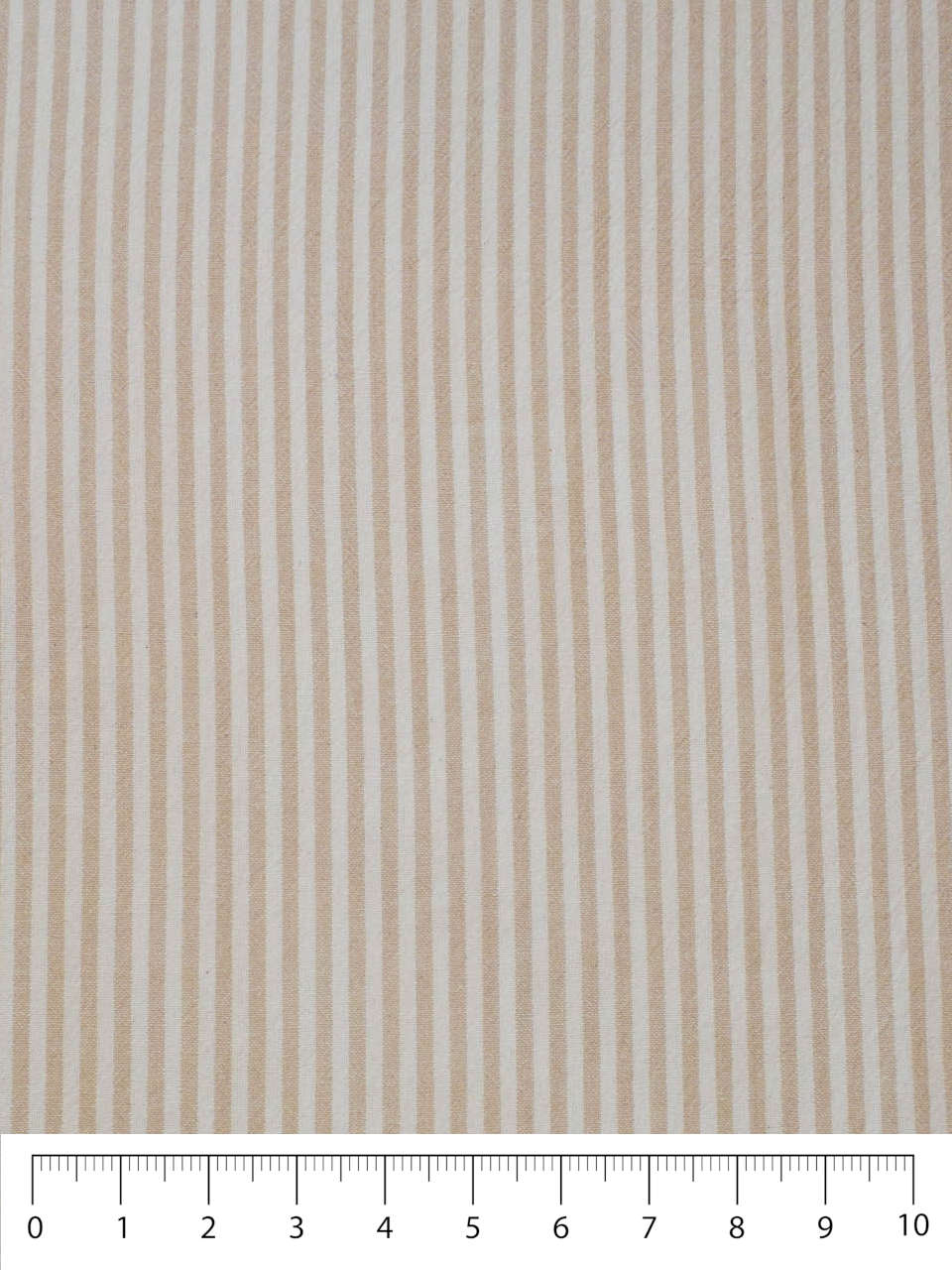 Farmhouse Stripe - Cream
