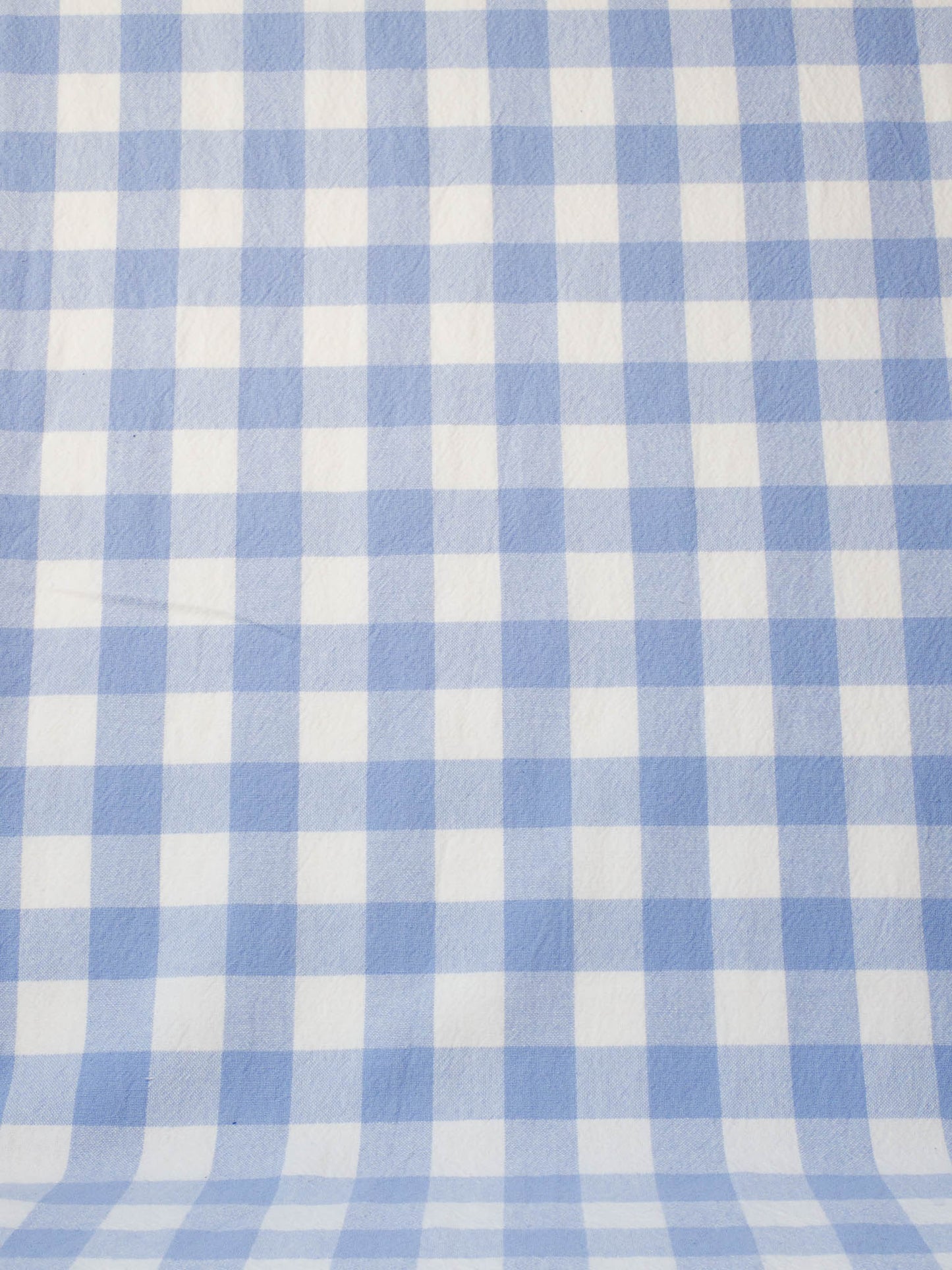 Farmhouse Gingham - Sky Blue