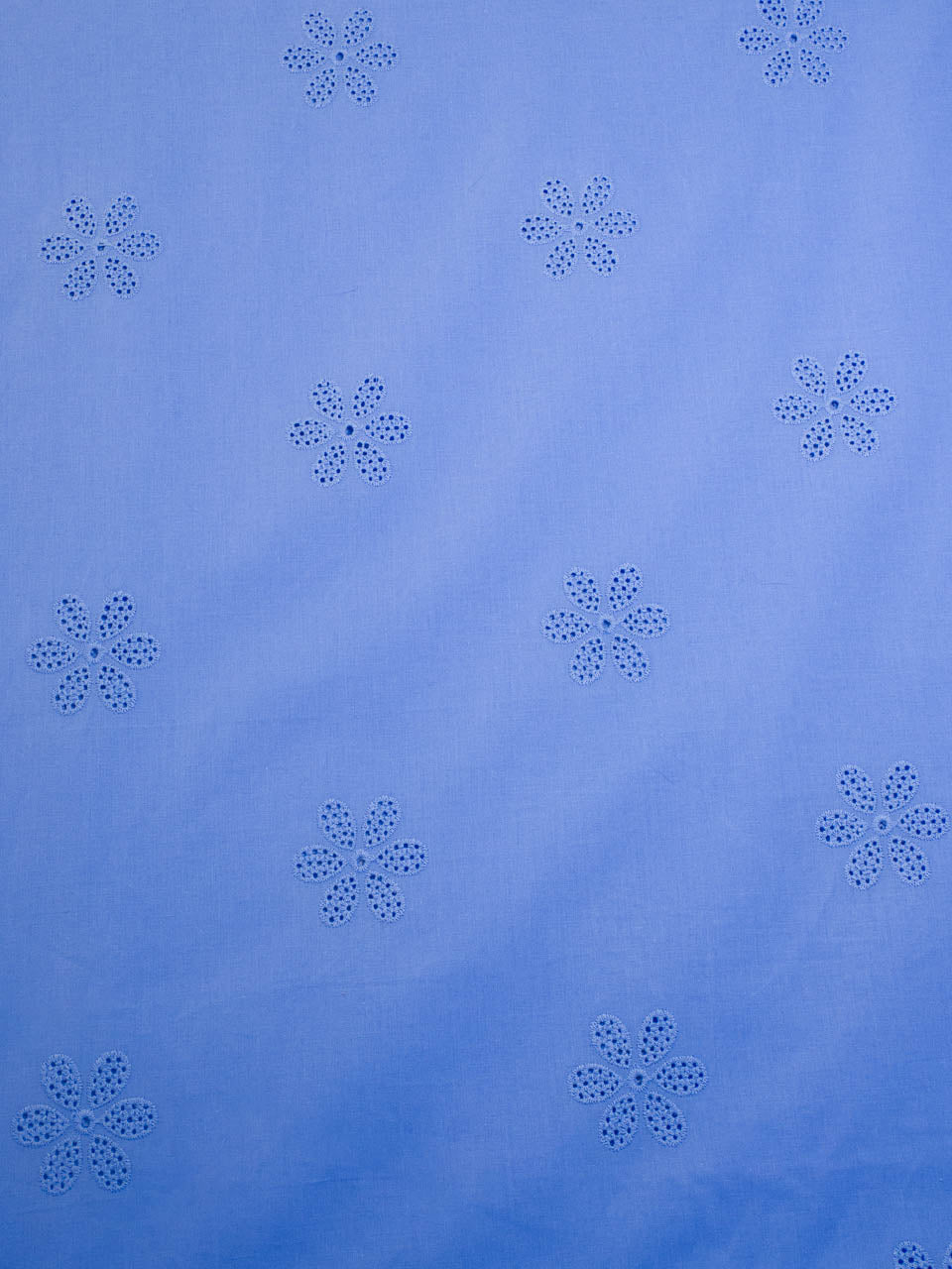 Daisy Eyelet - Periwinkle