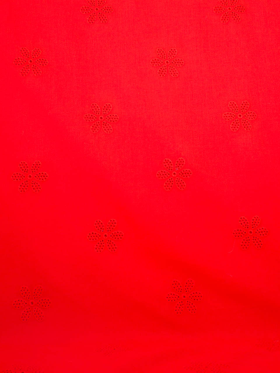 Daisy Eyelet - Poppy