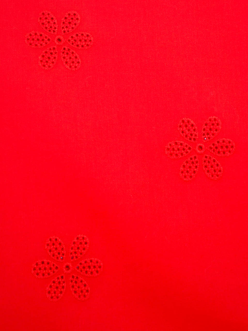 Daisy Eyelet - Poppy