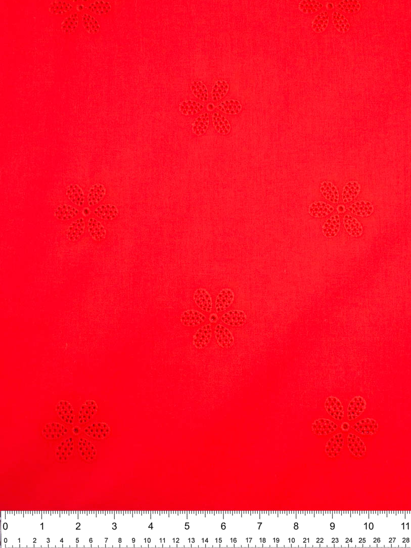 Daisy Eyelet - Periwinkle